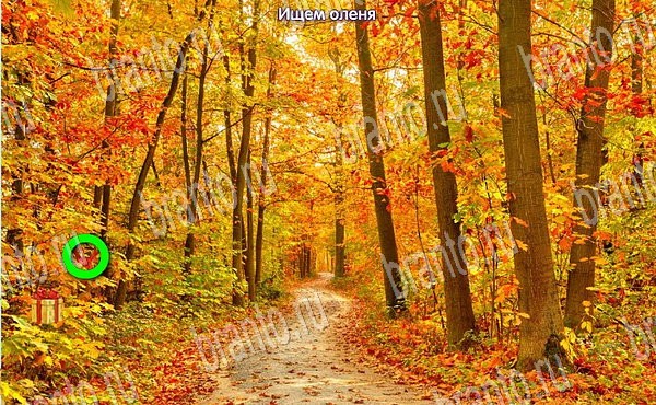 ответы на игру Новогодние подарки в одноклассниках Уровень 221