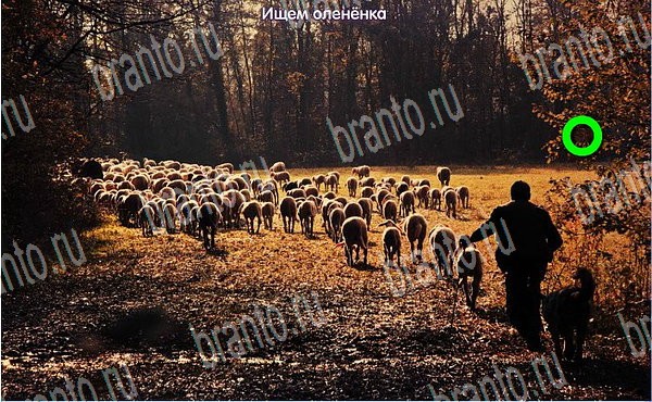 Новогодние подарки игра в контакте подсказки Уровень 235