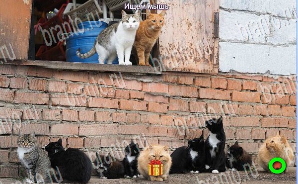 игра Новогодние подарки помощь одноклассники уровень 240