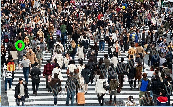 ответы на игру в одноклассниках Новогодние подарки Уровень 187