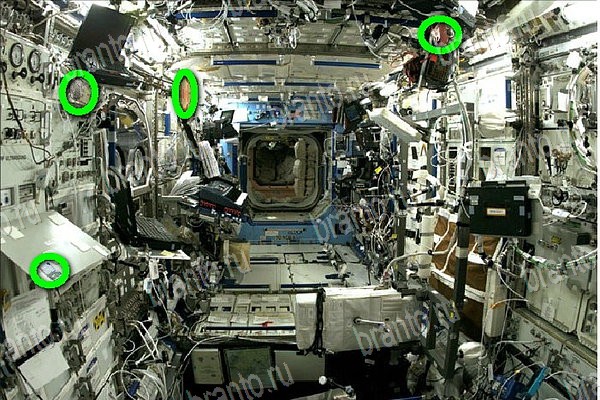 игра Найди бабки ответы в одноклассниках на Уровень 51