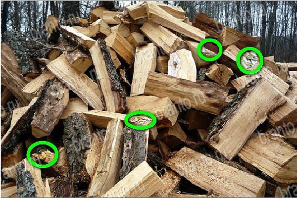 ответы на игру в одноклассниках Найди бабки Уровень 67