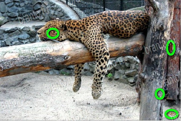 Найди бабки решения Уровень 73