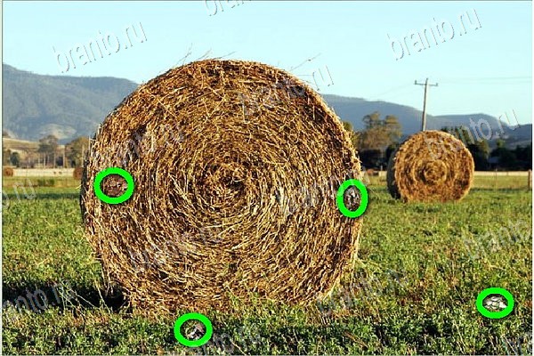 Игра Найди бабки подсказки вконтакте Уровень 89