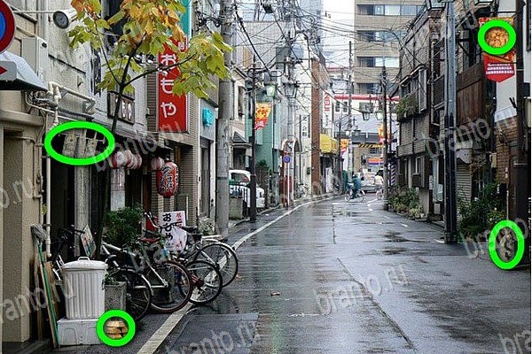 Найди бабки игра помощь в контакте Уровень 116