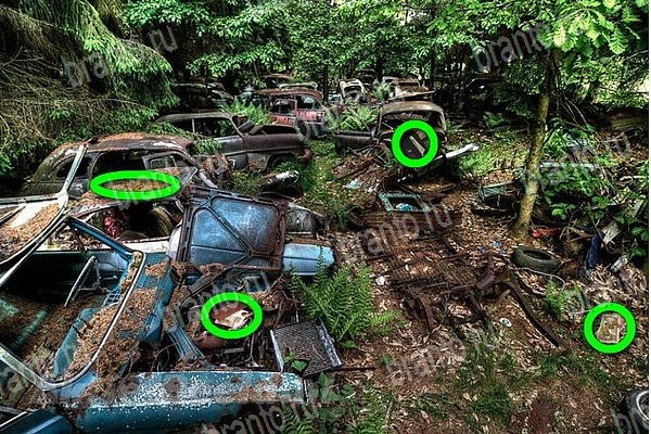 игра Найди бабки ответы в одноклассниках на Уровень 141