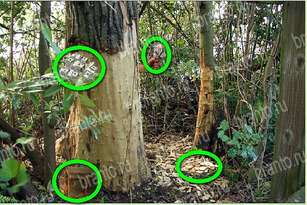 Подсказки на игру Найди бабки ВК Уровень 153