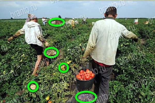 Помощь на игру ВК Найди бабки Уровень 155