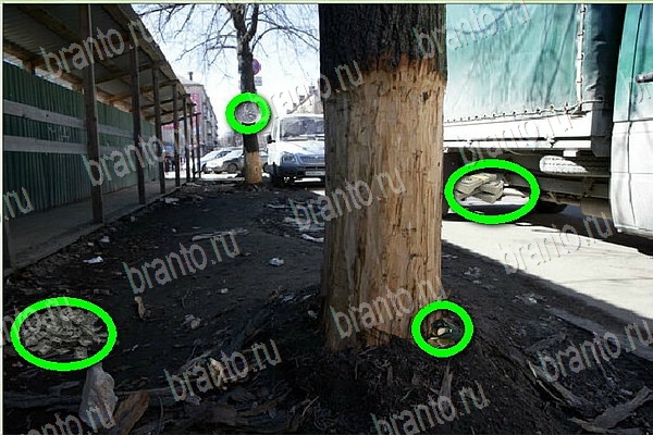 Найди бабки подсказки в контакте Уровень 160