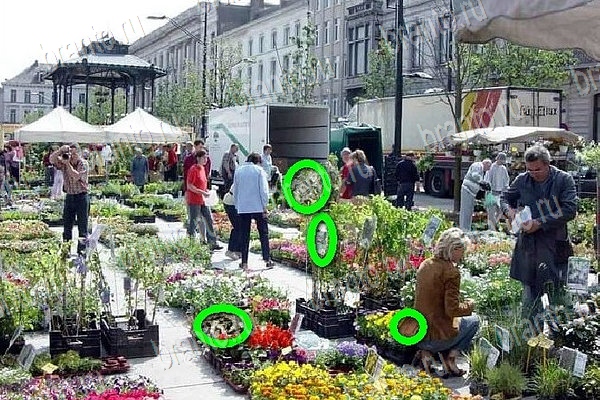 решебник на игру Найди бабки Уровень 172