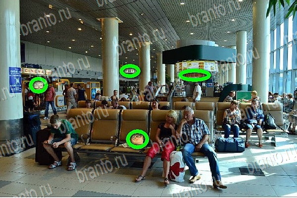 Найди бабки игра подсказки Уровень 175