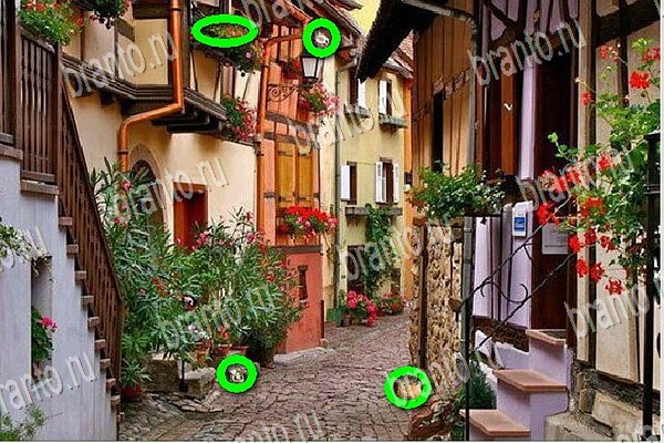 Найди бабки игра подсказки Уровень 195