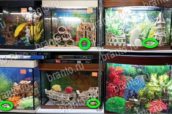 Одноклассники Найди бабки ответы Уровень 219