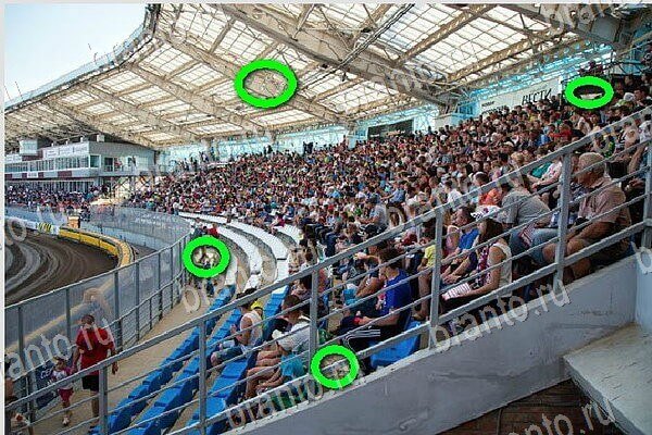 игра Найди бабки ответ на Уровень 221