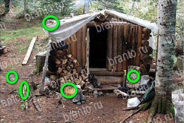 Игра Найди бабки подсказки вк Уровень 229