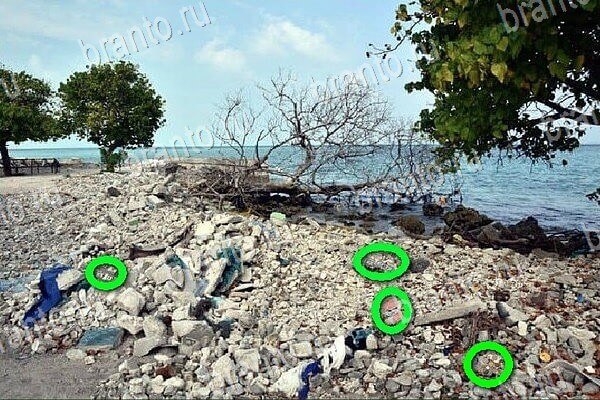 игра Найди бабки помощь одноклассники Уровень 230