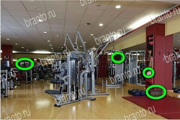 игра Найди бабки ответы в одноклассниках на Уровень 231