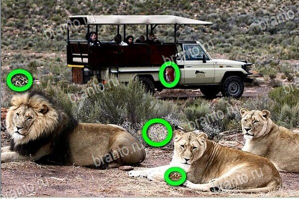 ответы на игру Найди бабки в одноклассниках Уровень 241