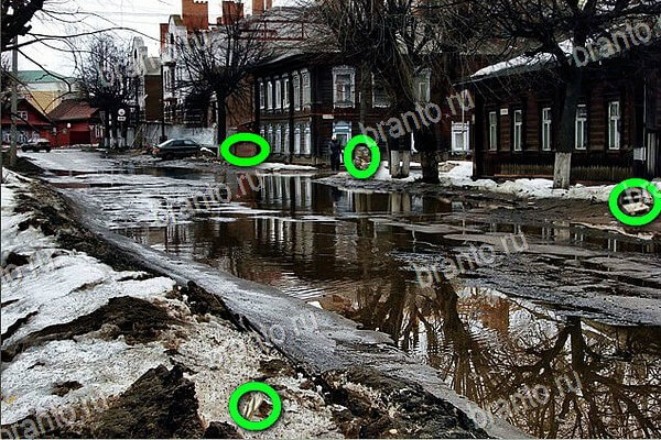 Найди бабки ответы в картинках Уровень 267