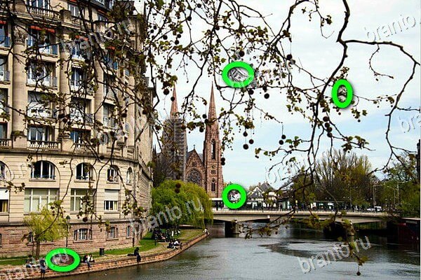 Игра Найди бабки подсказки вконтакте Уровень 269