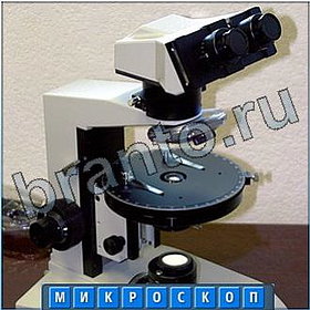 Отгадайка игра помощь в Одноклассниках слова из 9 букв
