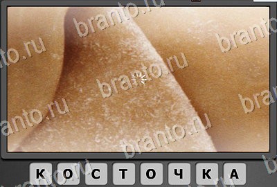 Игра Отгадай-ка ответы Уровень 77