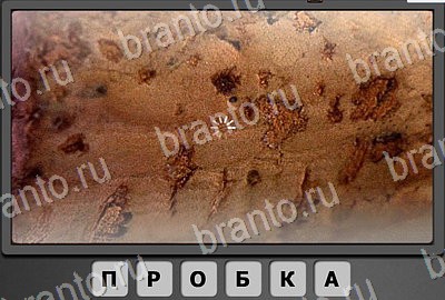 Решения на игру Отгадай-ка Уровень 93