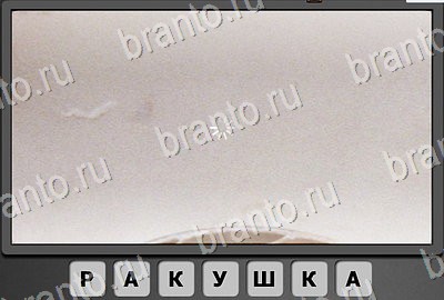 Отгадай-ка подсказки в контакте Уровень 99