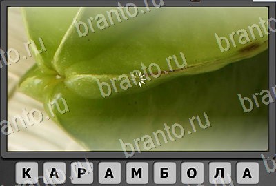 ответы к игре Отгадай-ка Уровень 155