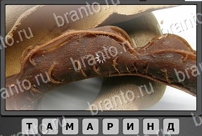 Отгадай-ка игра ответы Уровень 163