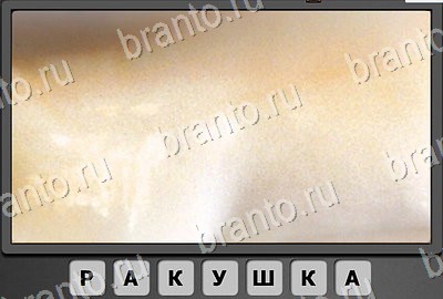 Отгадай-ка игра ответы Уровень 173