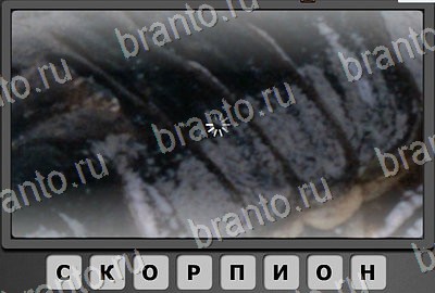 Подсказки на игру Отгадай-ка Уровень 182