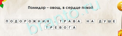 Перевёртыши решения Уровень 2202