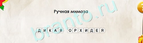 Перевёртыши ответы в картинках Уровень 2216