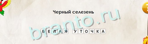 игра Перевёртыши помощь Уровень 1019