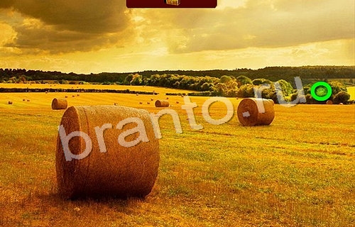 Одноклассники Пиратские сокровища ответы Уровень 128