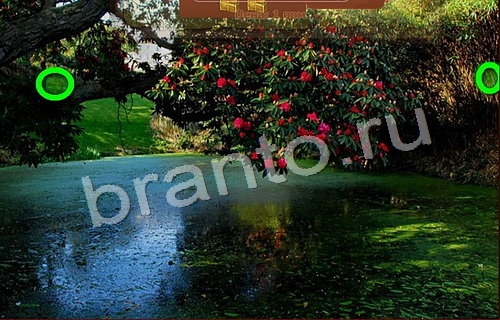 Пиратские сокровища игра подсказки Уровень 144