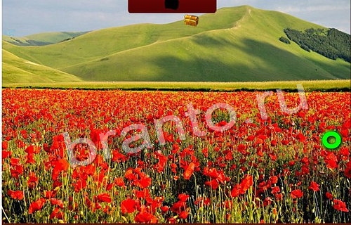 игра Пиратские сокровища ответ одноклассники на Уровень 150