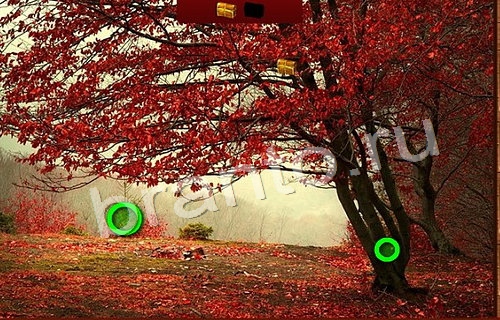 Подсказки на игру Пиратские сокровища Уровень 152