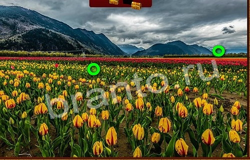 решебник на игру Пиратские сокровища Уровень 161