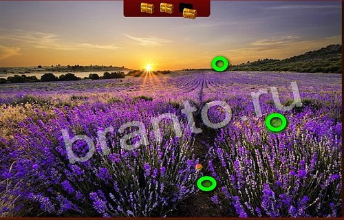 Пиратские сокровища игра ответы Уровень 173