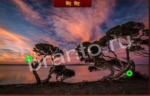 Пиратские сокровища ответы в картинках Уровень 176