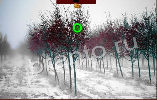 Игра Пиратские сокровища подсказки вконтакте Уровень 178