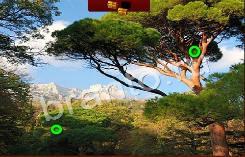 Подсказки на игру Пиратские сокровища Уровень 302