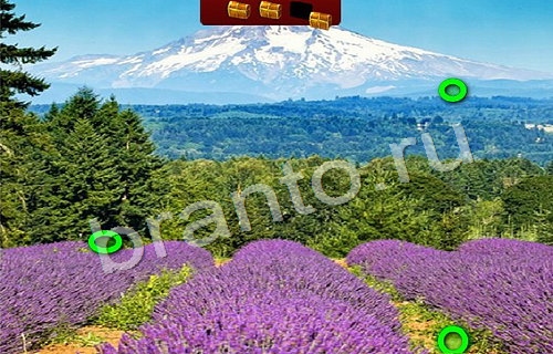 Помощь на игру ВК Пиратские сокровища Уровень 304