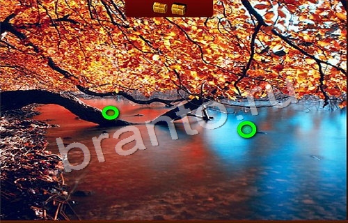 Пиратские сокровища игра подсказки Уровень 314