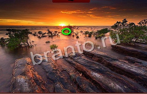 игра Пиратские сокровища ответ на Уровень 220