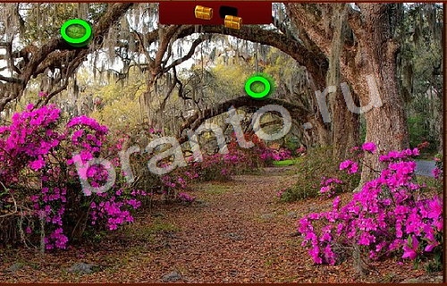 Пиратские сокровища игра ответы Уровень 383