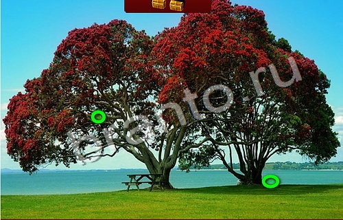 Пиратские сокровища решения Уровень 532