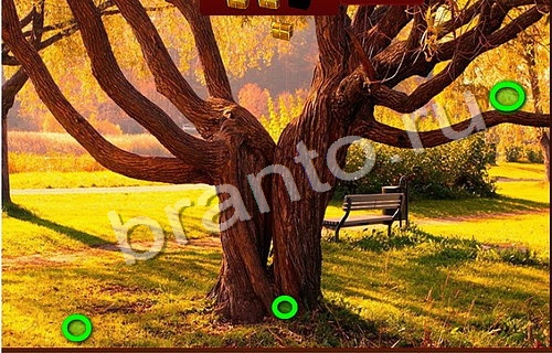 Подсказки на игру Пиратские сокровища Уровень 542